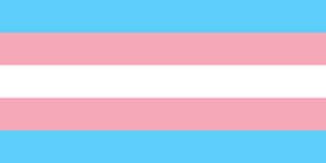 Transgender Pride Wears