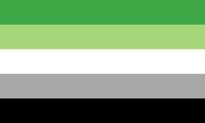 Aromantic Pride Wears