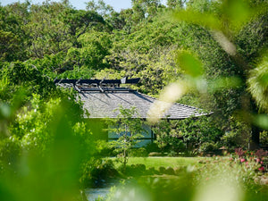 Japanese Pottery Studio