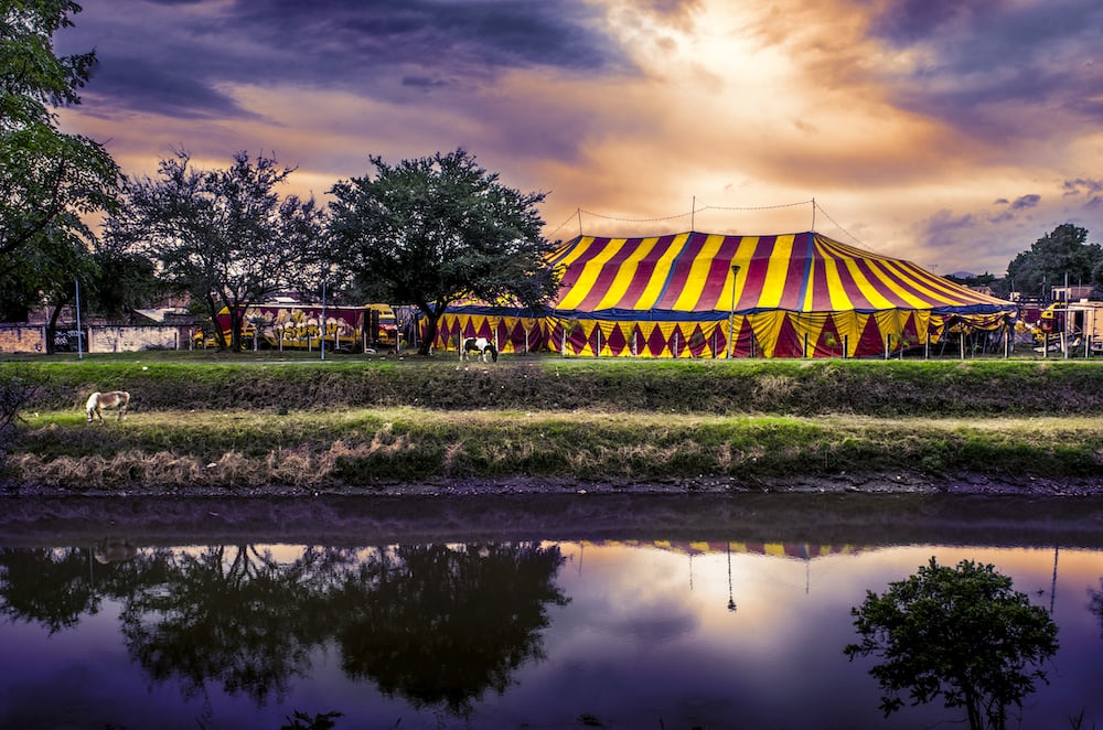 Circus Realm